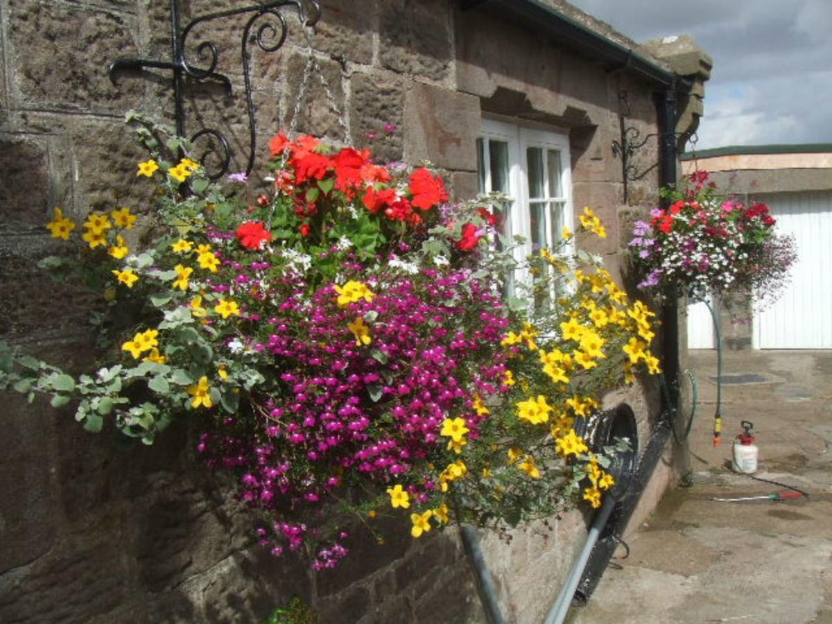 Bed and Breakfast The Old School House Berwick-upon-Tweed Exterior foto